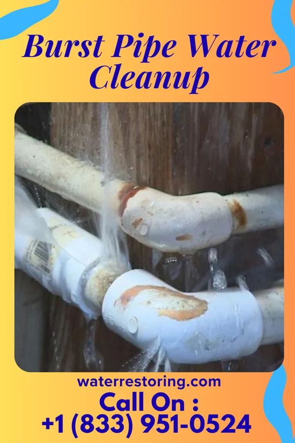 Burst Pipe Water Cleanup in Southwest Sandhill, TX